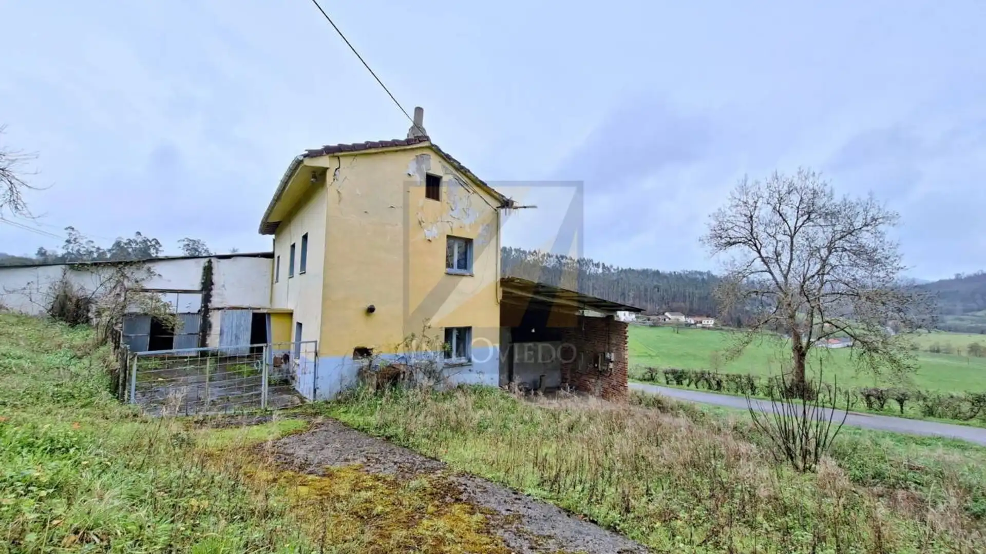 Vista exterior de Casa o xalet en venda en Nava amb Jardí privat i Moblat