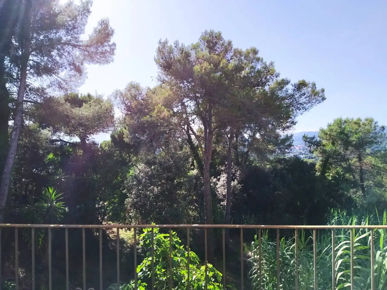Jardín de Casa o chalet en venta en Blanes con Jardín privado, Terraza y Piscina