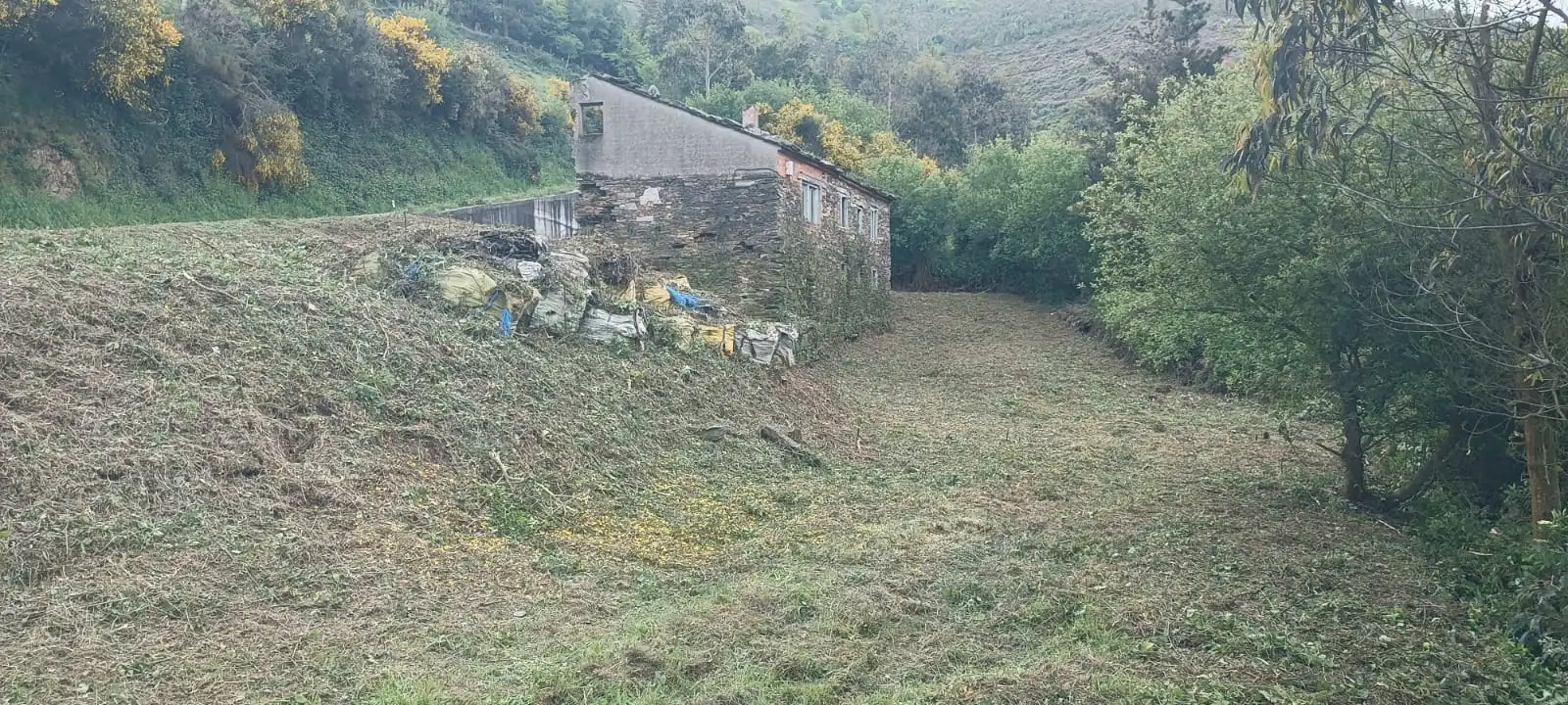 Finca rústica en venta en Vegadeo
