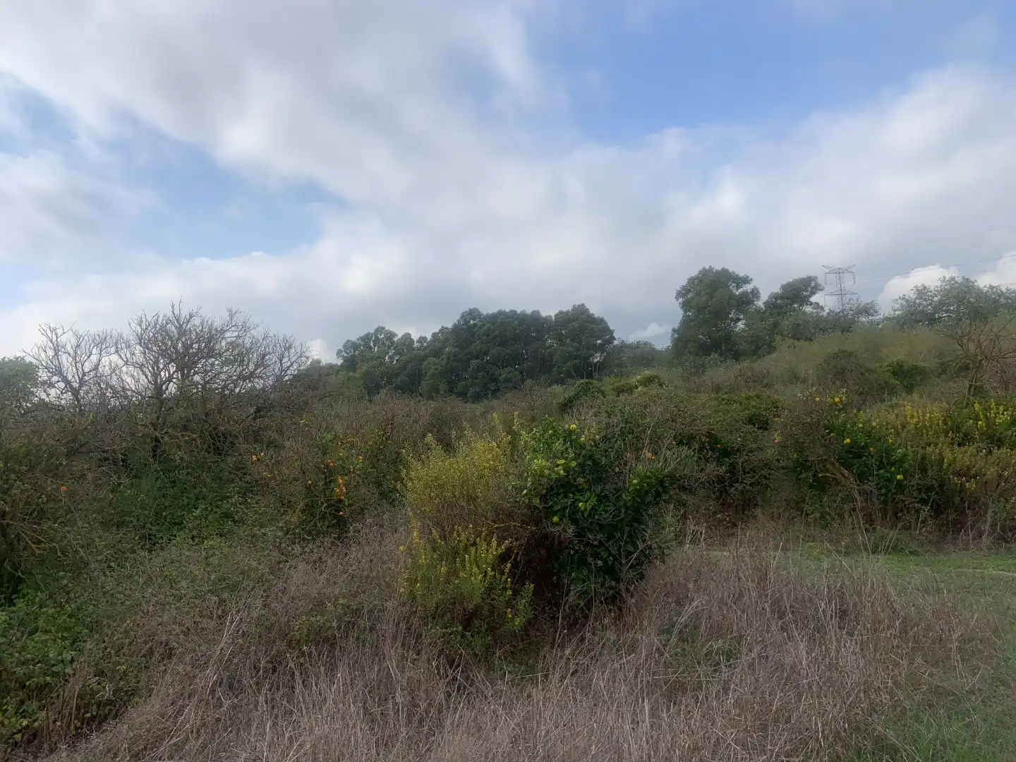 Terreno en venta en Casares