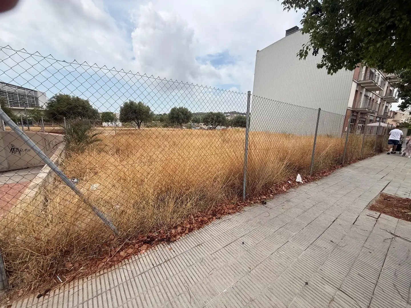 Terreny rústic en venda a El Tancat - Mas d'en Gual, imagen 5