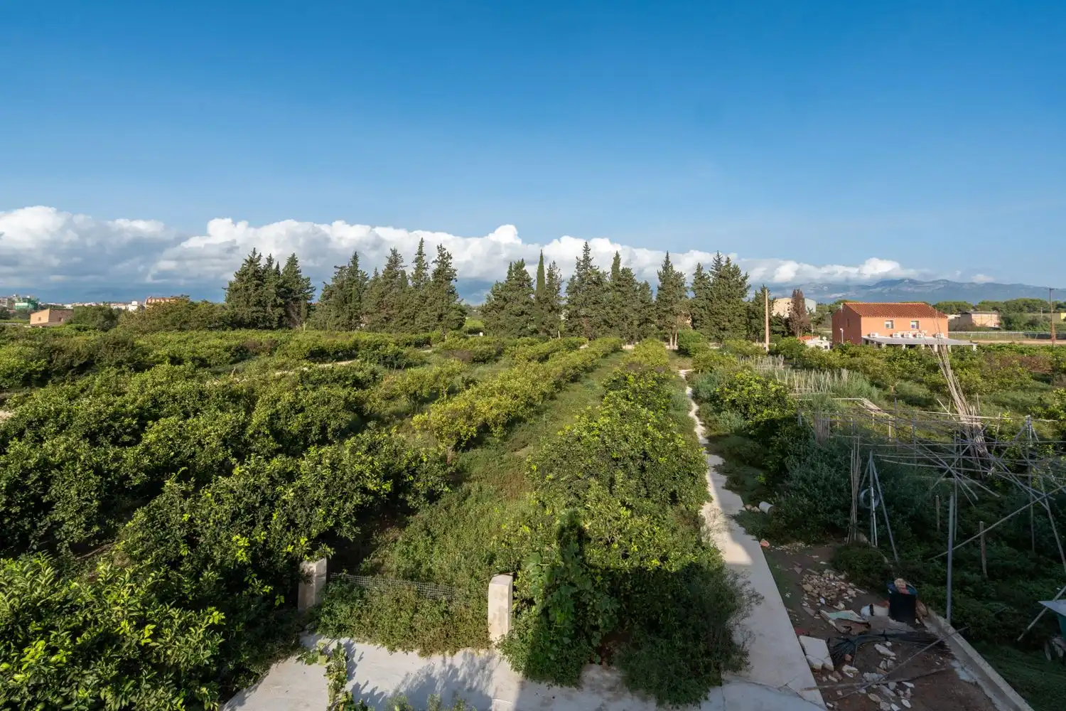 Garten von Country house zum Verkauf in Tortosa mit Privatgarten, Terrasse und Abstellraum