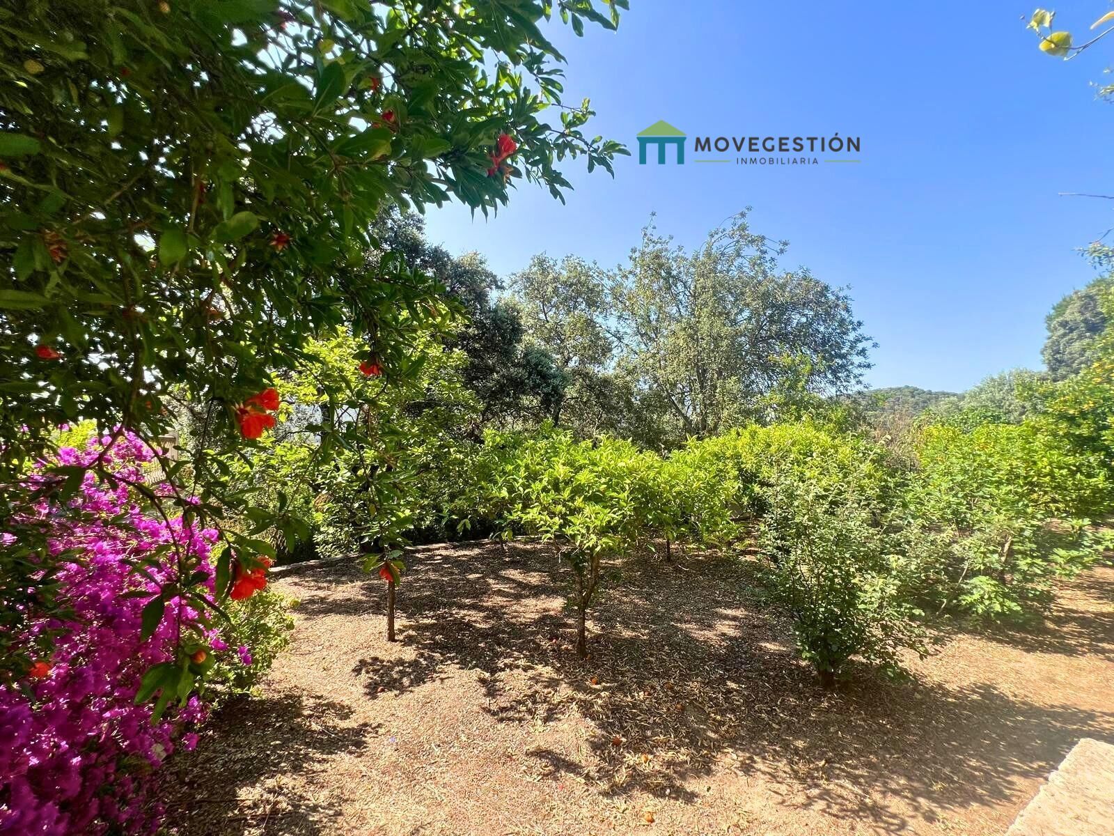 Finca rústica en venda en El Bosque amb Piscina