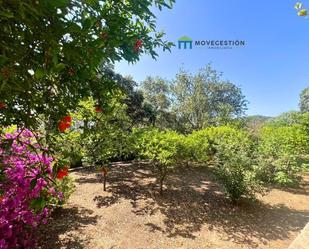 Country house for sale in El Bosque  with Swimming Pool