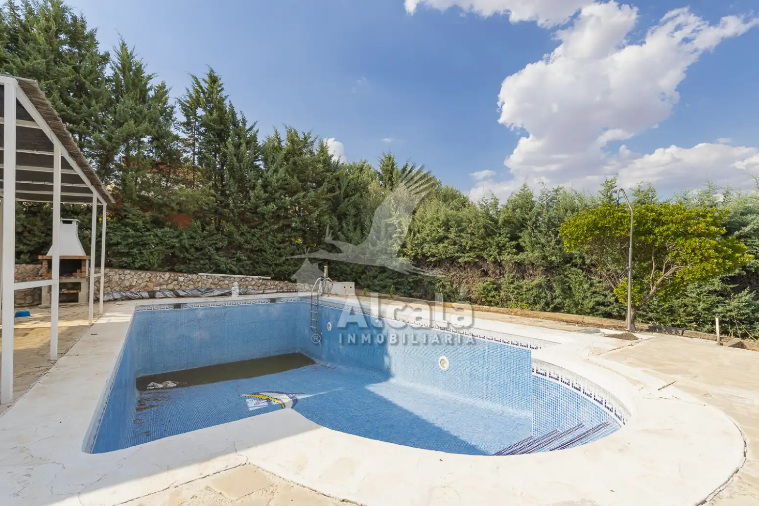 Piscina de Casa o xalet en venda en Torrejón del Rey amb Aire condicionat, Calefacció i Piscina