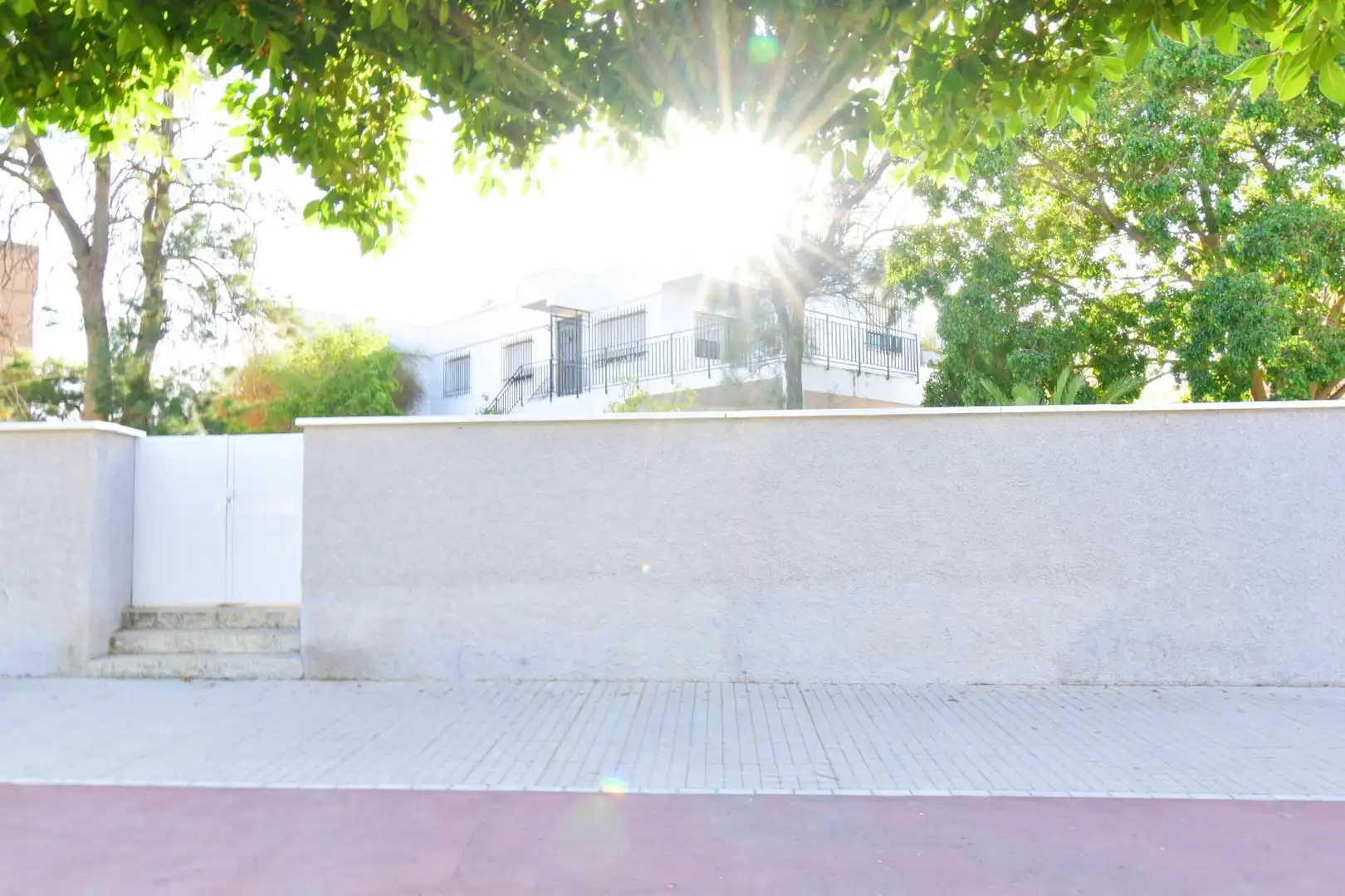 Vista exterior de Casa o chalet en venta en El Ejido