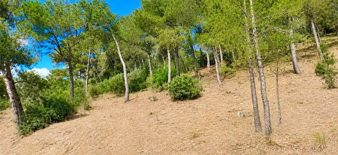 Residencial en venta en Capdepera