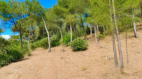 Foto 4 de Residencial en venta en Canyamel, Capdepera