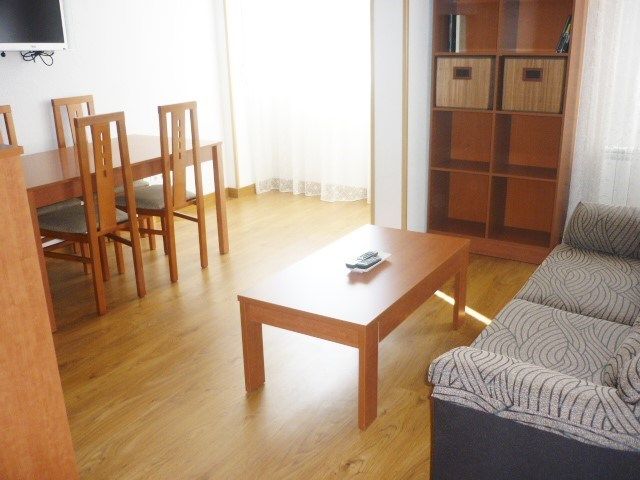 Living room of Flat to rent in  Madrid Capital  with Heating, Terrace and Furnished