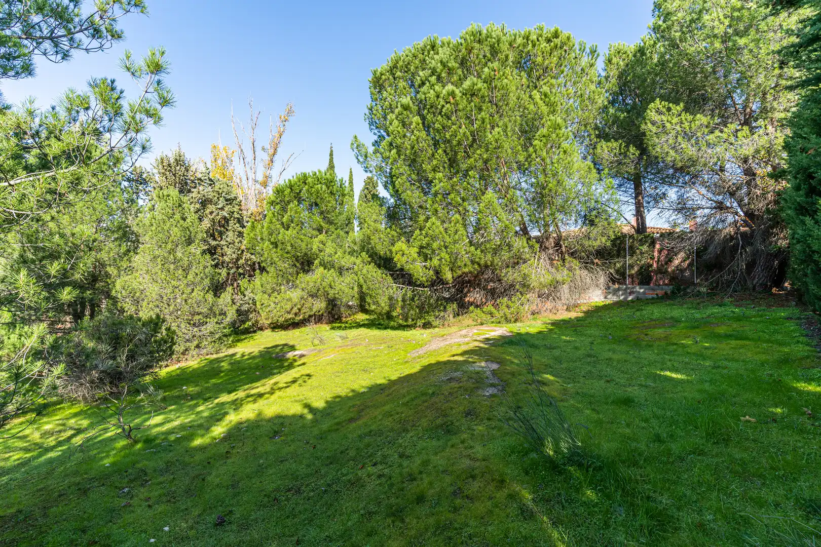 Jardí de Residencial en venda en Las Rozas de Madrid