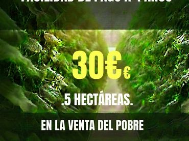 Terreno rustico in vendita a Camino Calesa 8