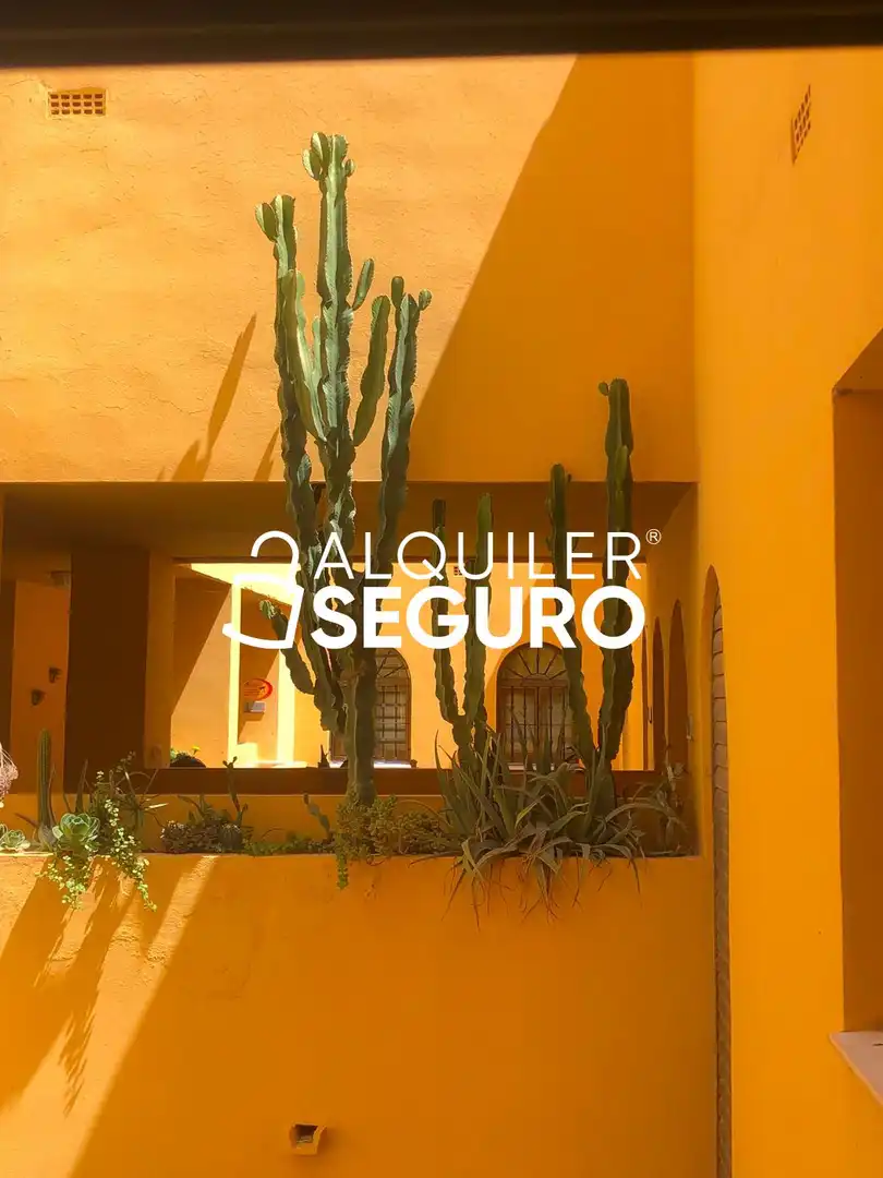 Flat for rent in El Ejido  with Swimming Pool and Furnished