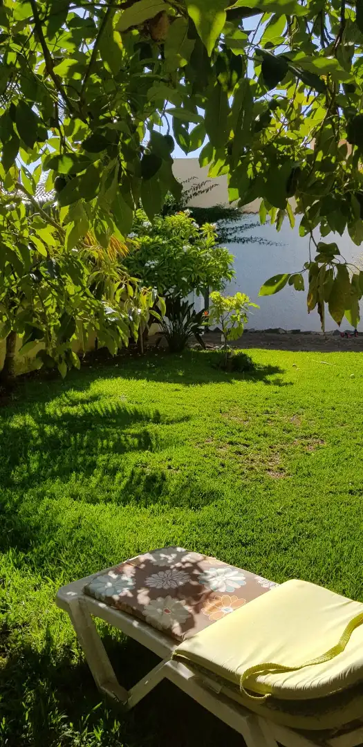 Garden of Houses for sale in San Cristóbal de la Laguna  with Private garden, Parquet flooring and Terrace