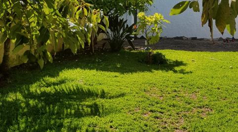 Foto 5 de Casa o chalet en venta en Calle Tajinaste, 12, La Cuesta -Finca España, San Cristóbal de la Laguna