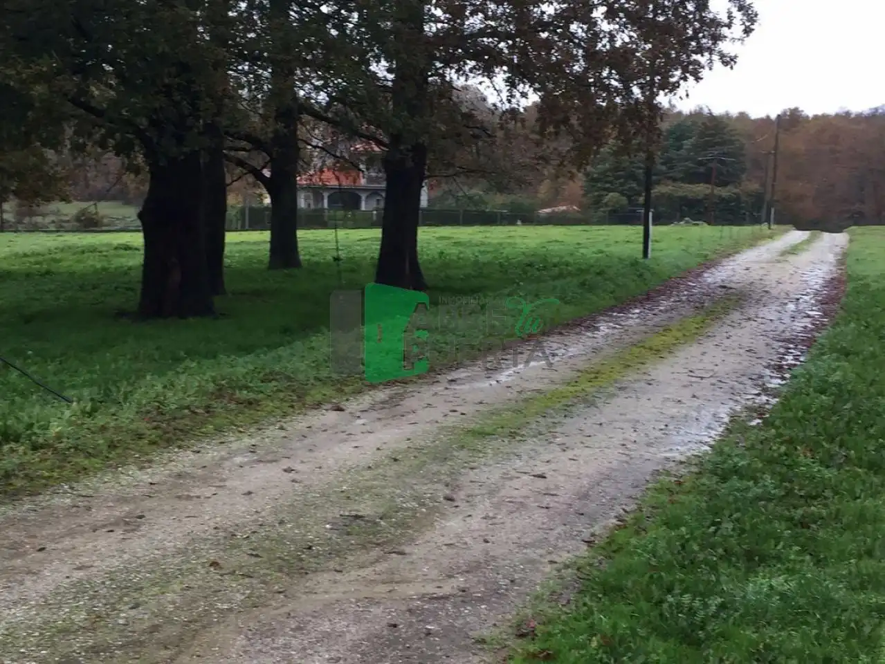 Xalet amb jardí en venda a O Pereiro de Aguiar, imagen 4