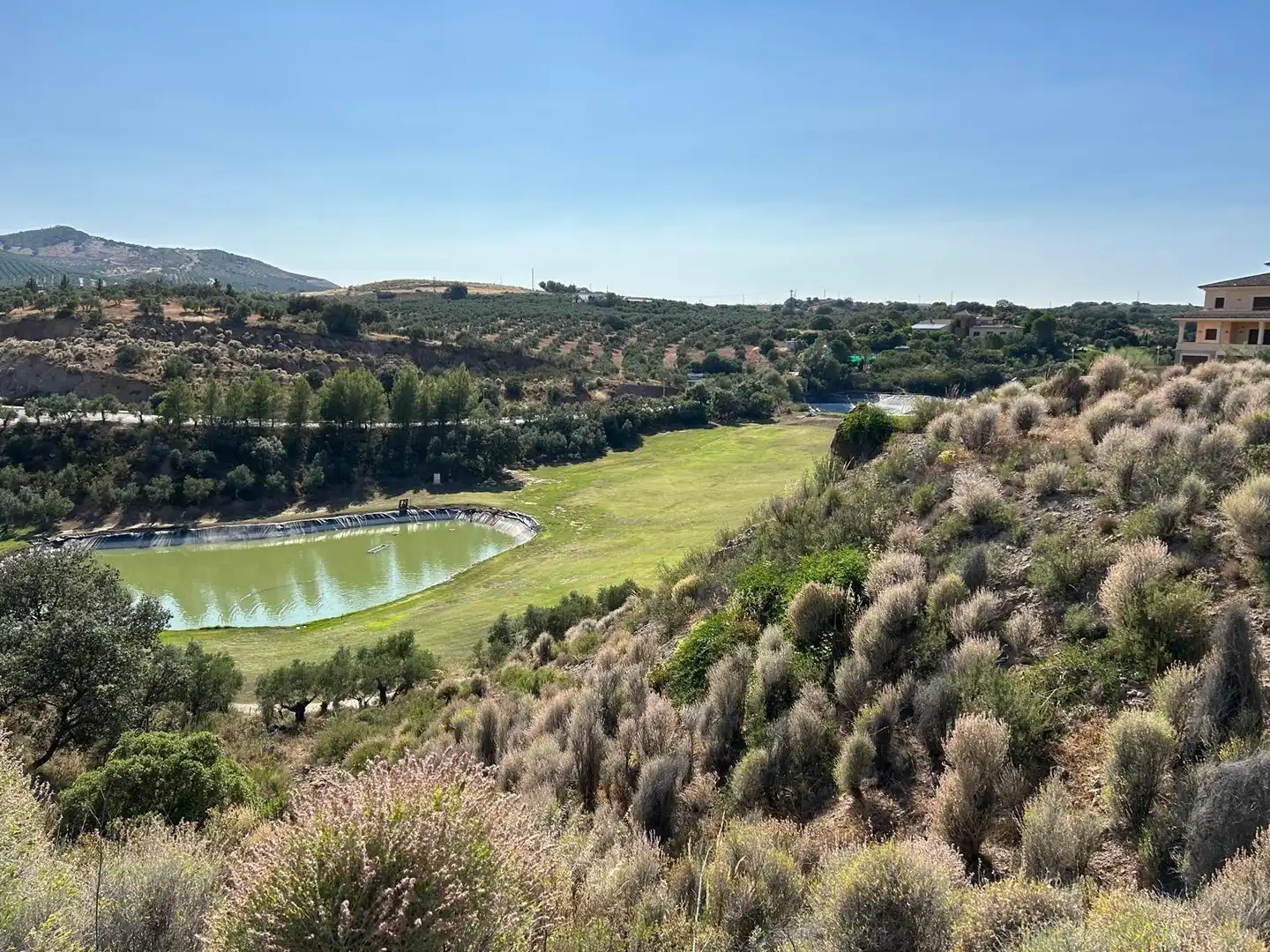 Lands and plots for sale in Centro, imagen 4