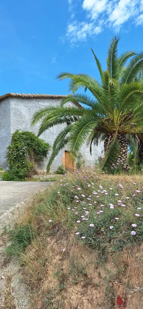 Terreni e lotti in vendita a Castellet i la Gornal, imagen 3