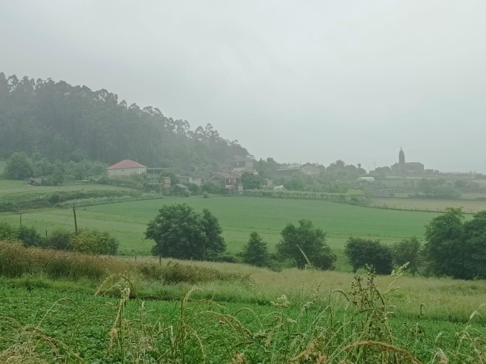 Grundstücke zum verkauf in Cuntis