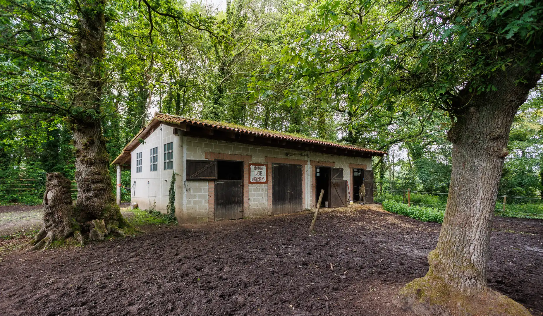 Vista exterior de Finca rústica en venda en Cospeito