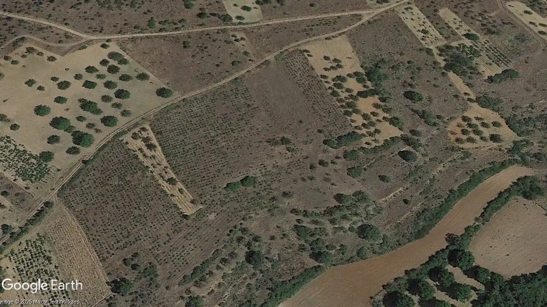 Terreno rústico en venta en Covarrubias, imagen 3