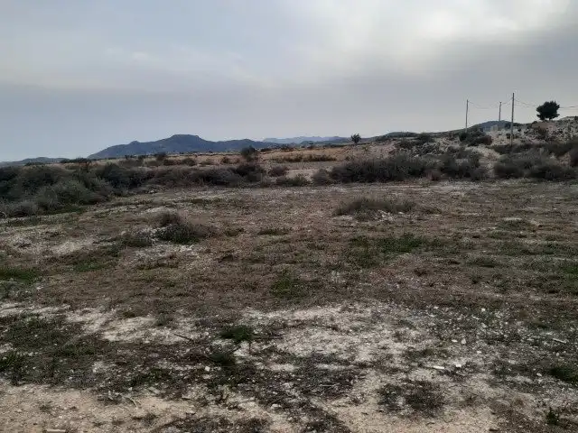 Lands and plots for sale in Novelda, imagen 19