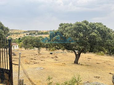 Terreno rustico in vendita a Molinos