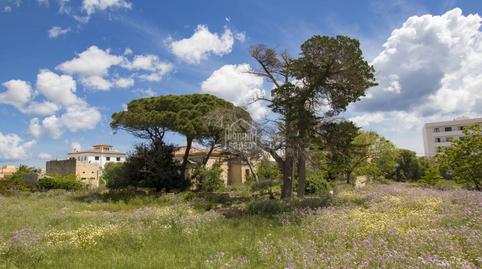 Photo 5 of House or chalet for sale in Avinguda Menorca - Sínia Costabella, Maó - Mahón