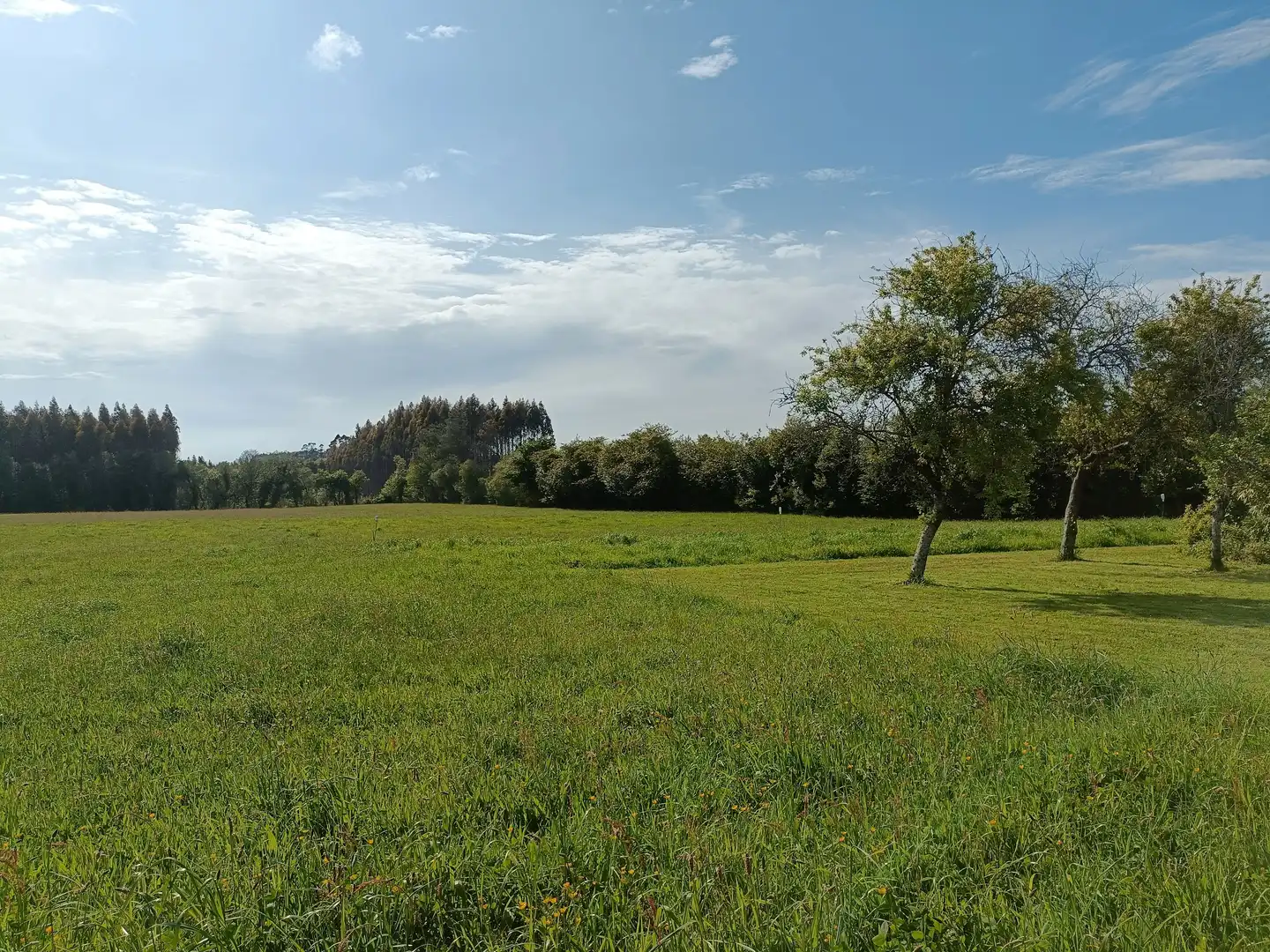 Residencial en venta en Vilasantar