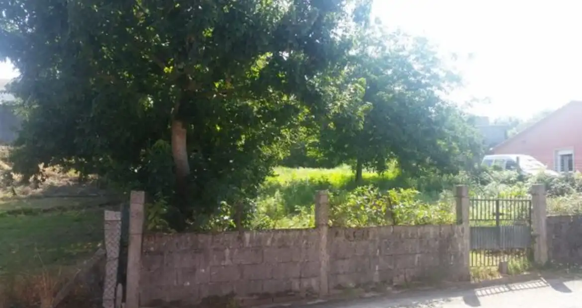 Terrenos y solares en venta en Sobradelo, imagen 3