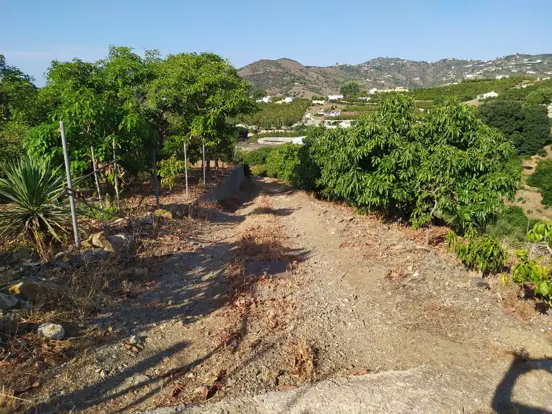 Rural land for sale in Calle de la Molineta 25