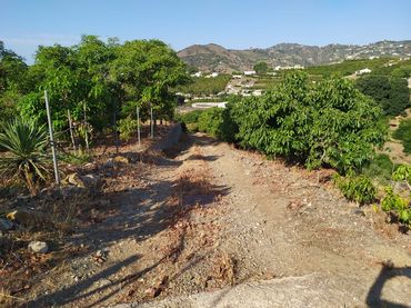 Terreno rustico in vendita a Calle de la Molineta 25
