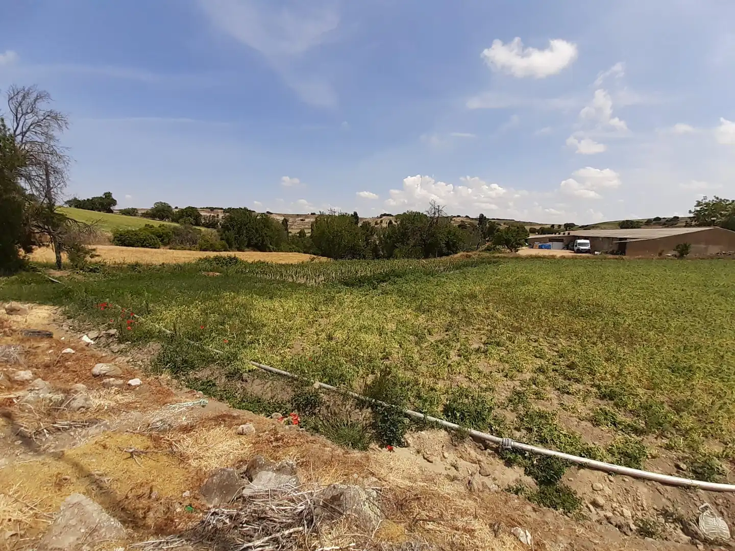 Terreni e lotti in vendita a Corrales del Vino