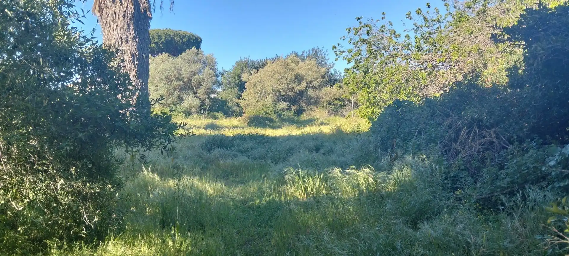 Terreni e lotti in vendita a Los Franceses – La Vega, imagen 9