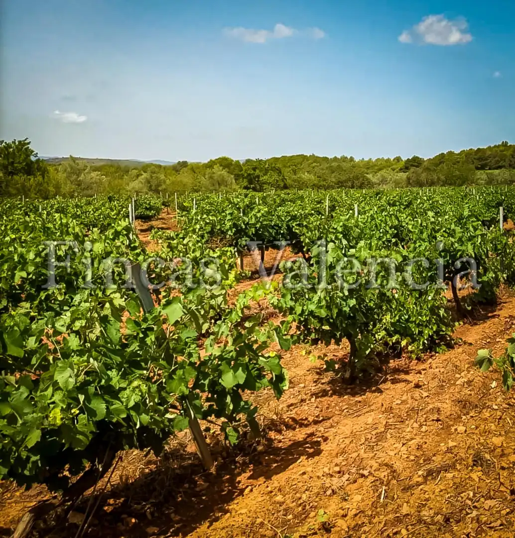 Country homes for sale in Calle SONEJA, Azuébar
