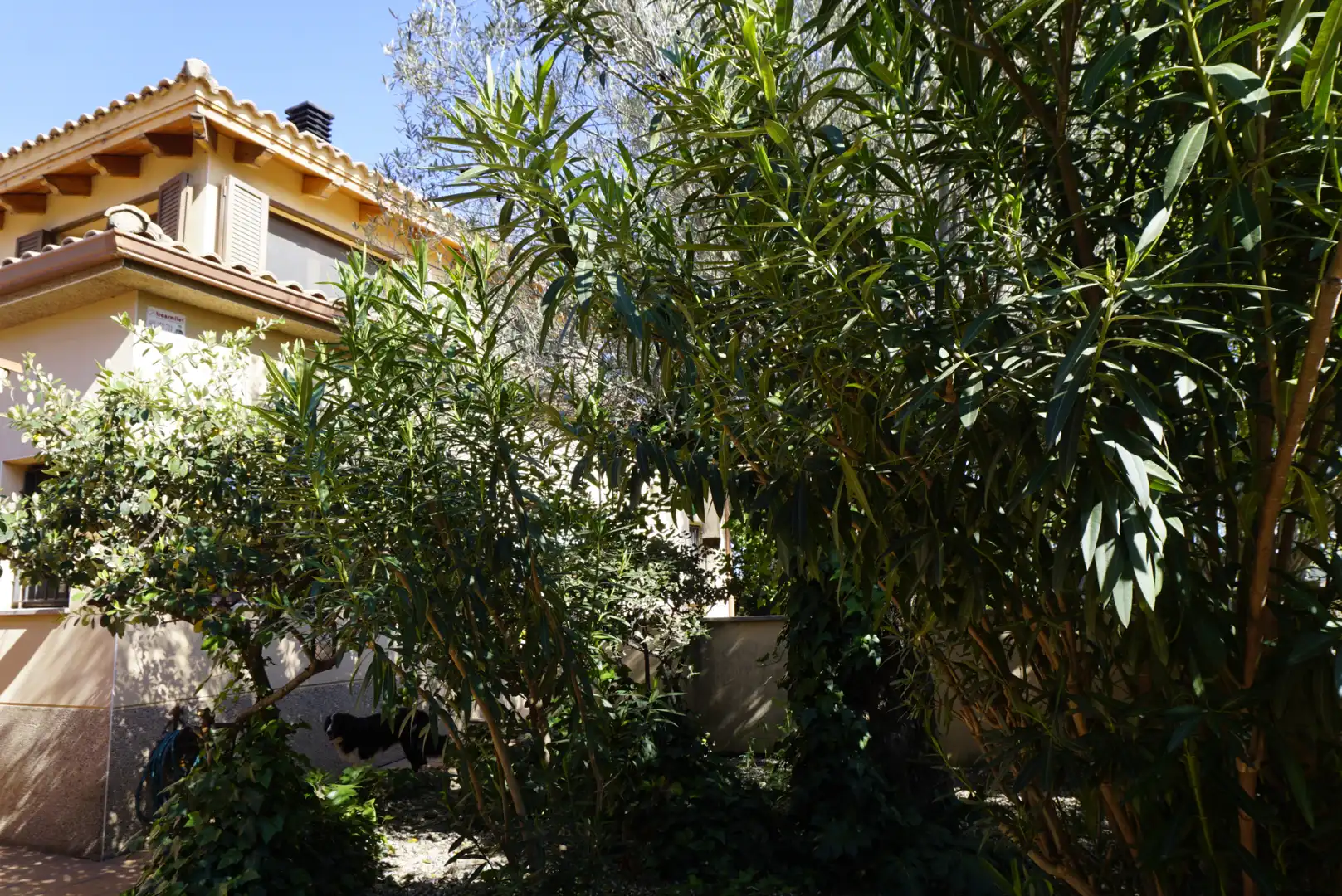 Villa avec piscine à vendre à Collbató, imagen 87