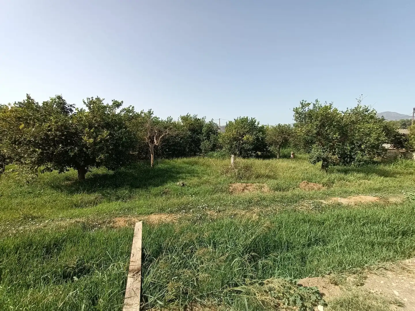 Casa rustica con terrazza in vendita a Pizarra