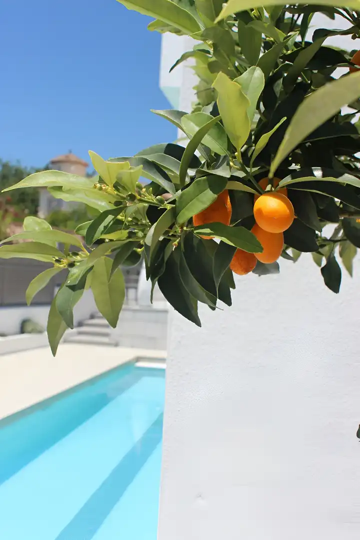 Garden of Houses for sale in Marbella  with Air Conditioner, Private garden and Terrace