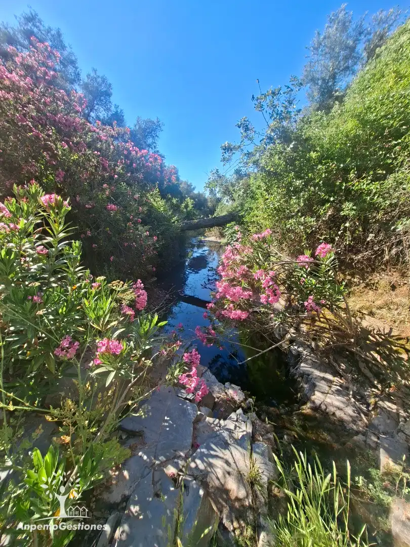 Exterior view of Land for sale in Las Navas de la Concepción