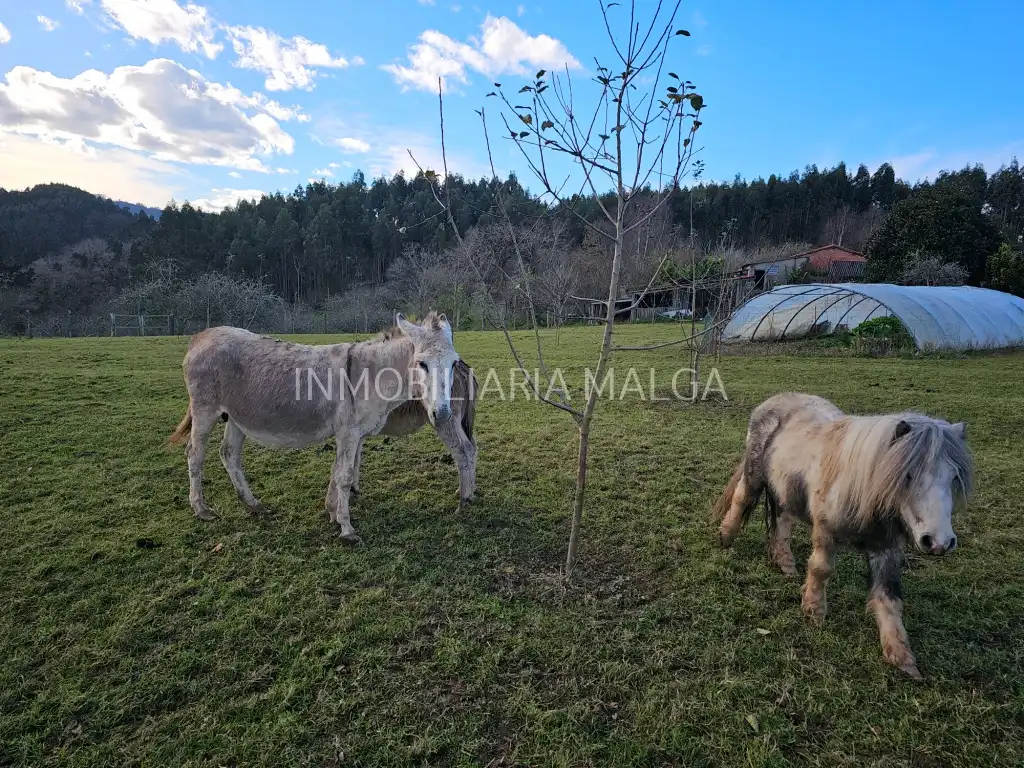 Casa o chalet en venta en Colunga con Calefacción, Jardín privado y Parquet