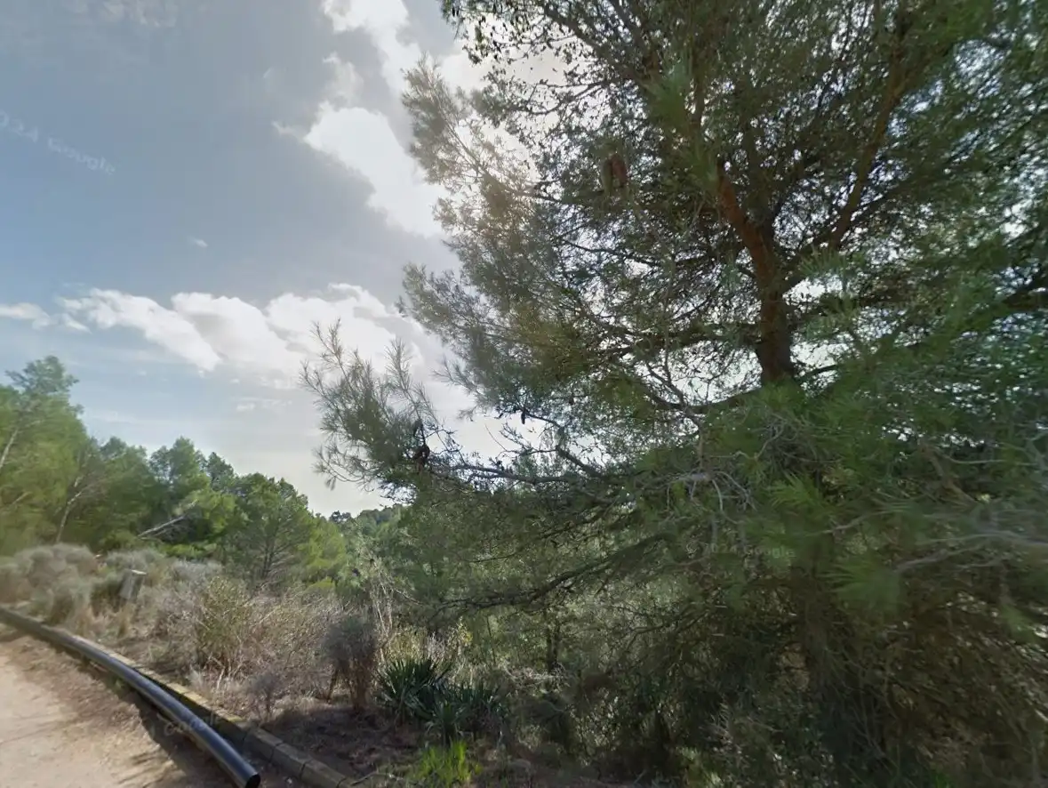 Terreno residenziale in vendita a Carrer de la Vallesa 187, imagen 31