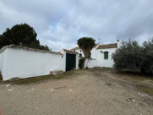Finca rústica en Venta en Calle Carretera de Priego en Rute