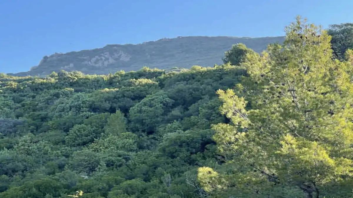 Residencial en venda en Agüero