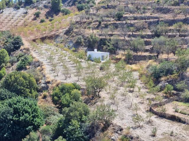 Finca rústica en Venta en Gualchos pueblo