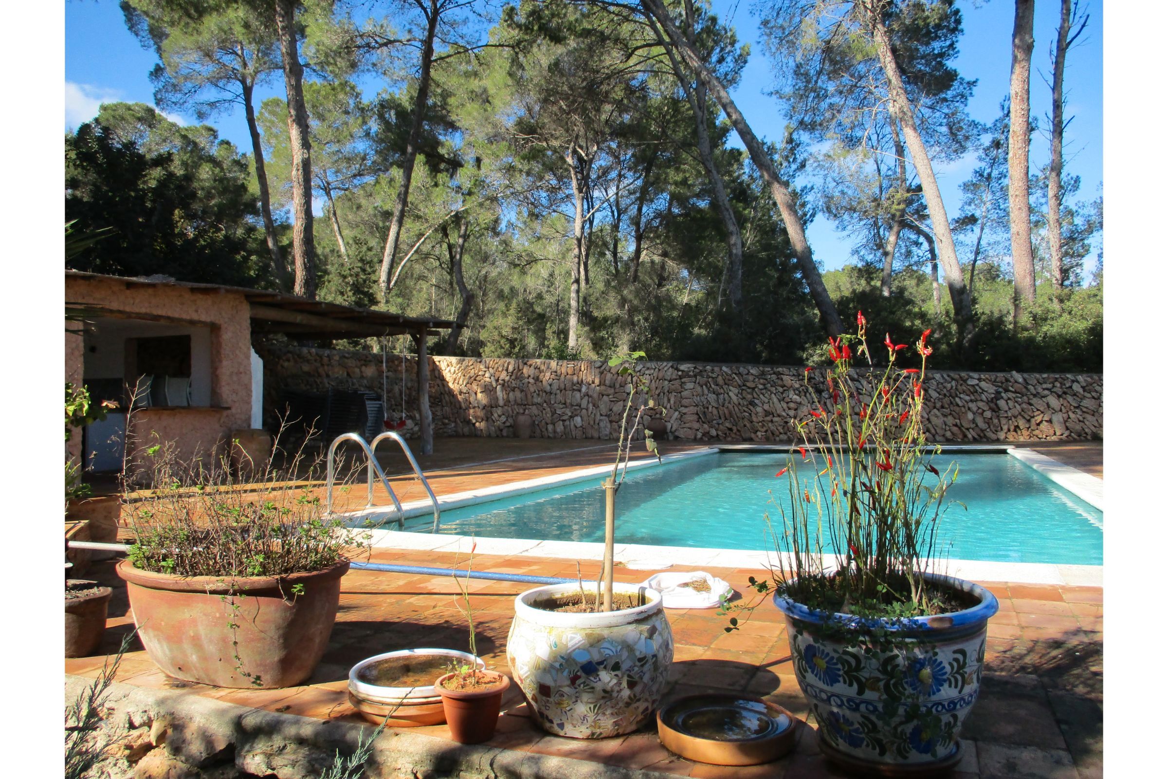 Jardí de Residencial en venda en Sant Antoni de Portmany