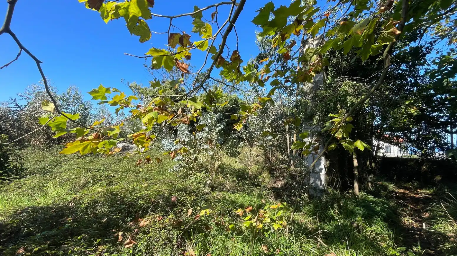 Casa o chalet en venta en Gozón