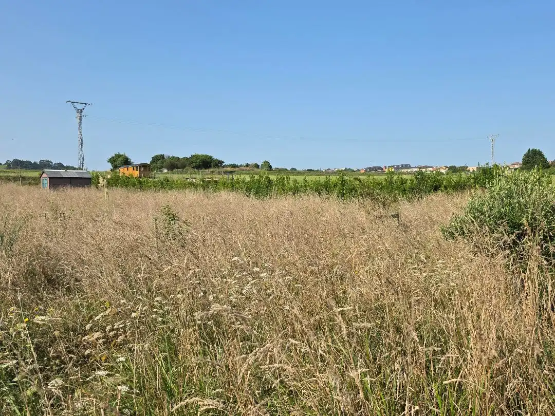 Terreno en venta en Miengo