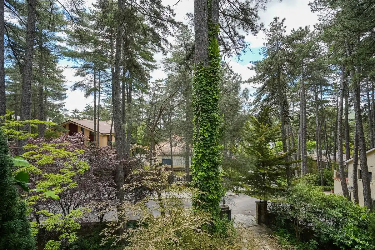 Jardí de Casa o xalet en venda en Abantos - Carmelitas