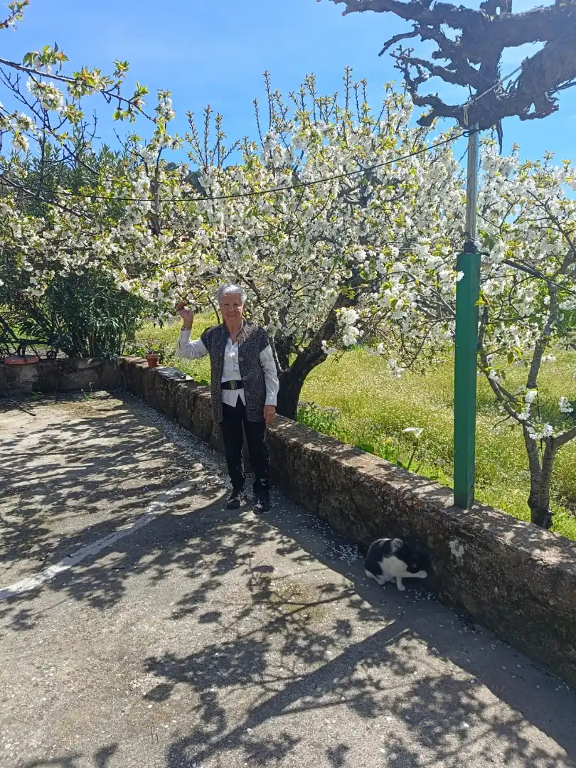 Garden of Land for sale in Jarandilla de la Vera
