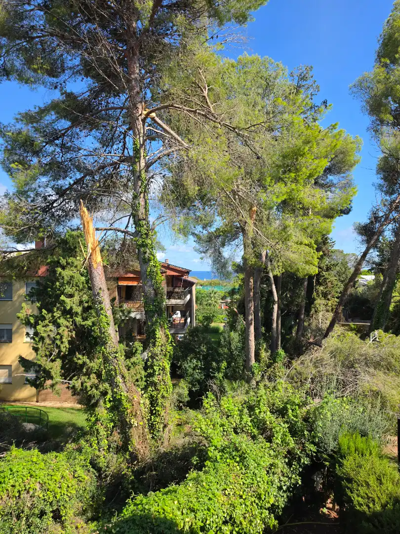 Estudio en venta en Tarragona con Amueblado y Piscina comunitaria