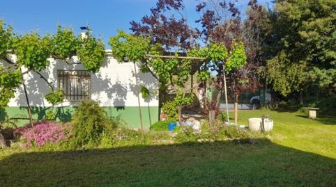 Foto 5 de Finca rústica en venta en Parque de la Constitución, 5a, Villanueva de la Serena, Badajoz